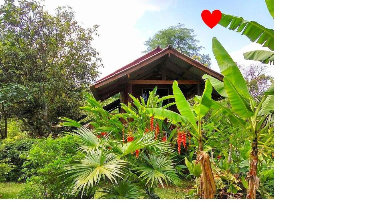 Pencave Homestay Pang Mapha Екстер'єр фото